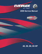 50HP 2009 E50DPLSEE Evinrude outboard motor Service Manual